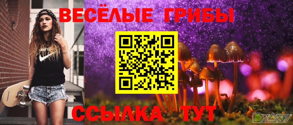 Псилоцибиновые грибы Psilocybe Саранск